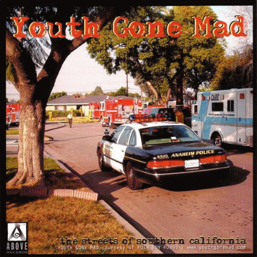 Youth Gone Mad : Youth Gone Mad - One Way Down